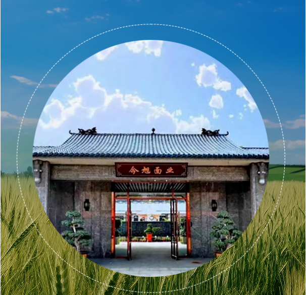 展商推荐 | 河北今旭面业有限公司